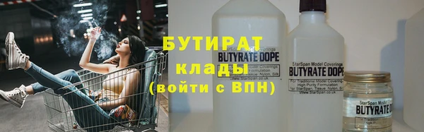 гашик Алексин