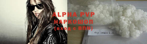 молекула духа Пересвет