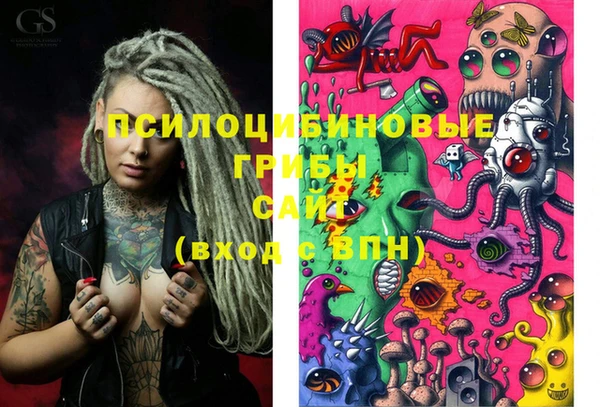 молекула духа Пересвет